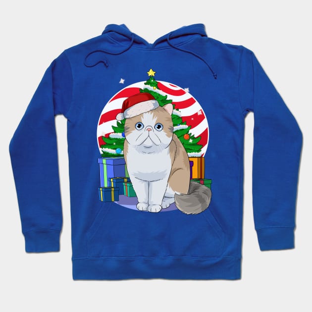 Exotic Shorthair Cat Christmas Tree Santa Hoodie by Noseking